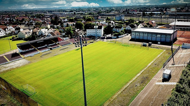 次竞技阶段 次竞技阶段