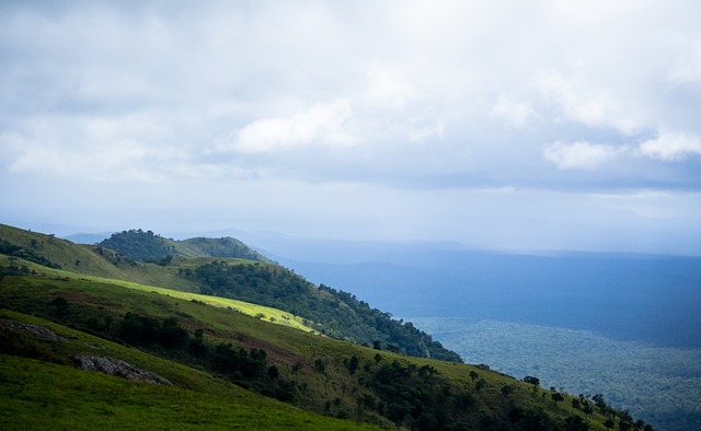 及面临的根 及面临的根