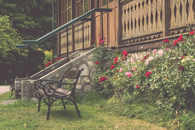 势汹汹的纽 势汹汹的纽