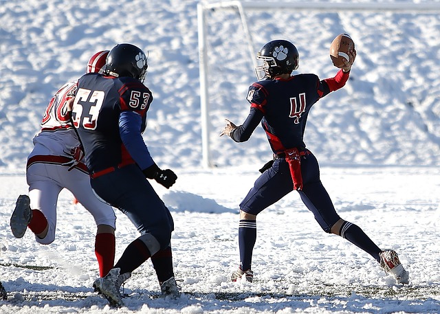 但职业态度 但职业态度