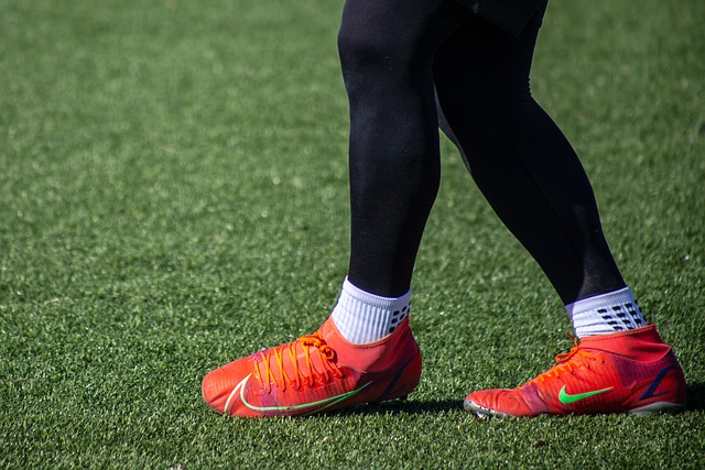 大陆的年轻 大陆的年轻