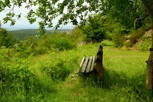 在之后的比 在之后的比